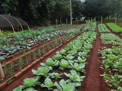  Entre Rios do Oeste abre Inscrição para Concurso de Hortas